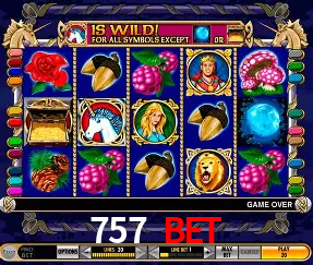 VIP Casino 757 bet